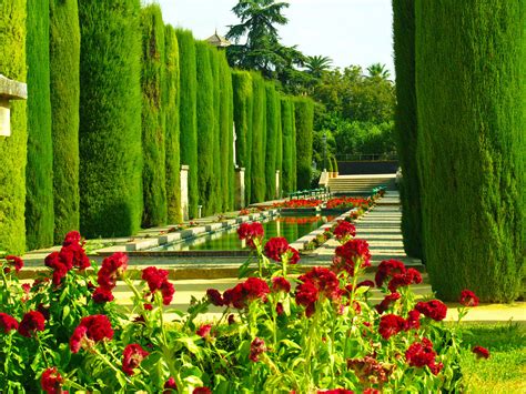  Where Flowers Bloom: Photographs from Spain's Hidden Gardens - A Captivating Journey Through Nature's Exquisite Secrets and Vivid Hues